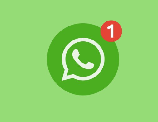 penyebab whatsapp tidak bisa video call