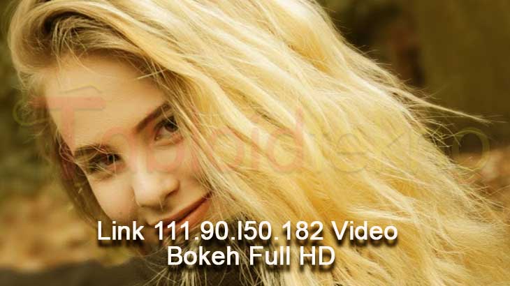 Link 111 90 l50 182 Video Bokeh Full HD
