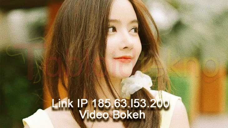 Link IP 185 63 l53 200 Video Bokeh